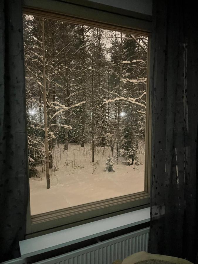 Ahkio North Apartamento Rovaniemi